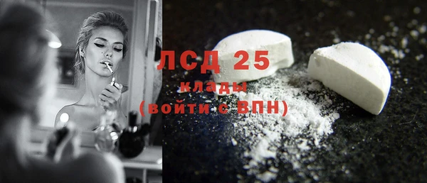 СК Богородск
