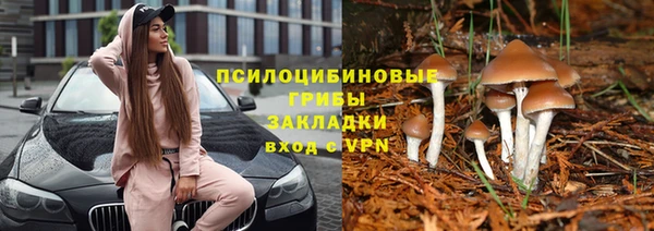 СК Богородск